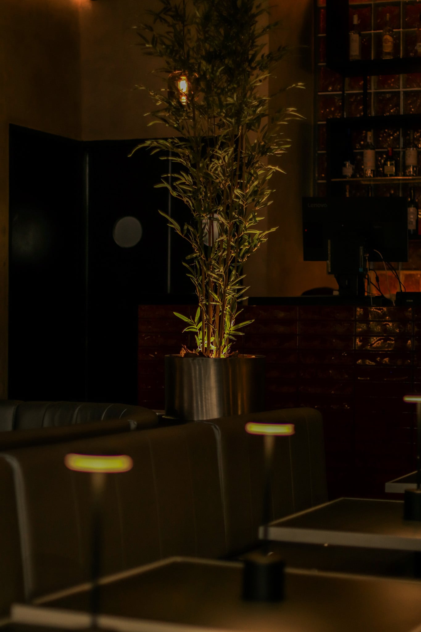 Animal Cocina Florida - 13