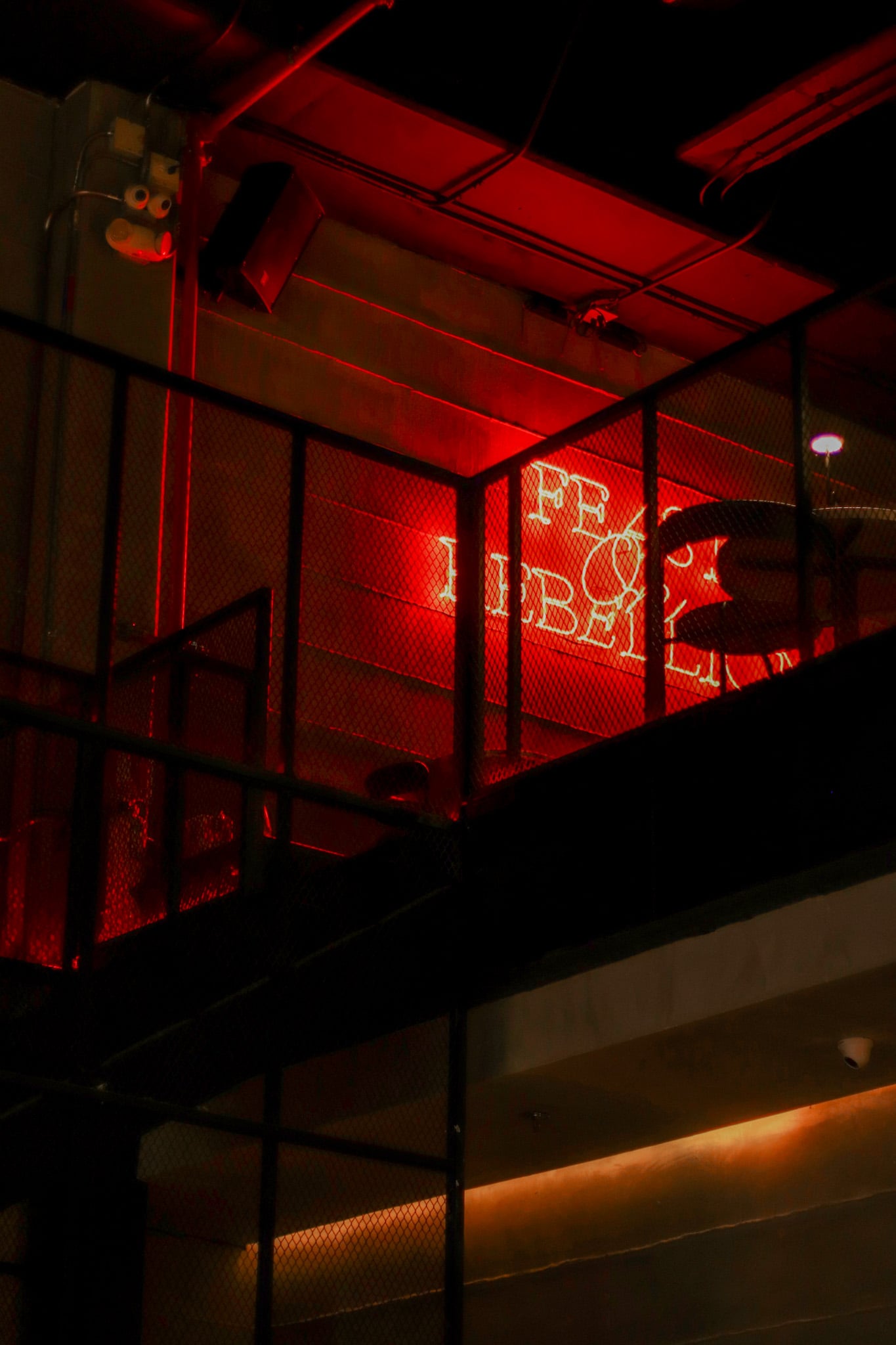 Animal Cocina Florida - 14