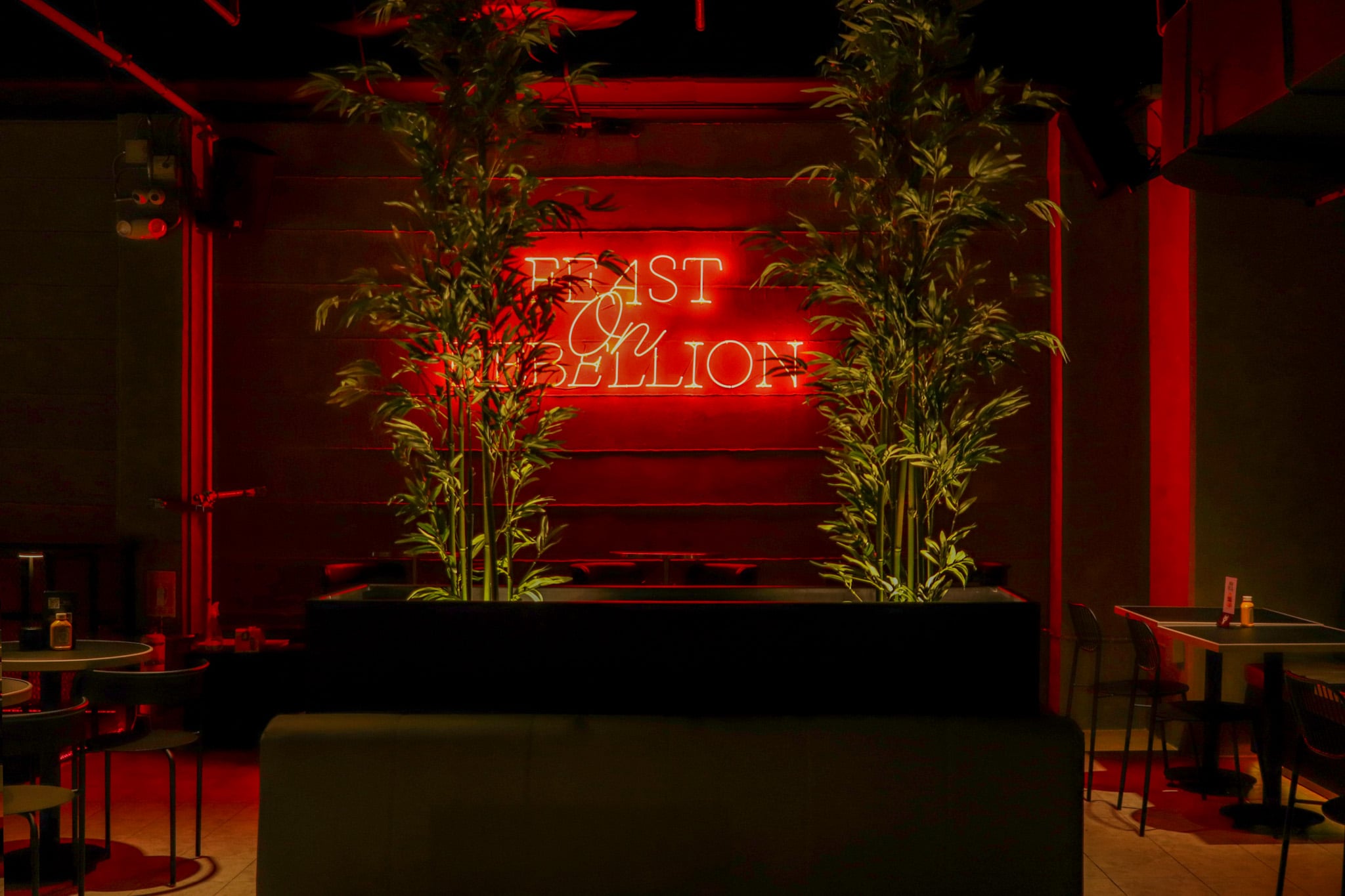 Animal Cocina Florida - 15