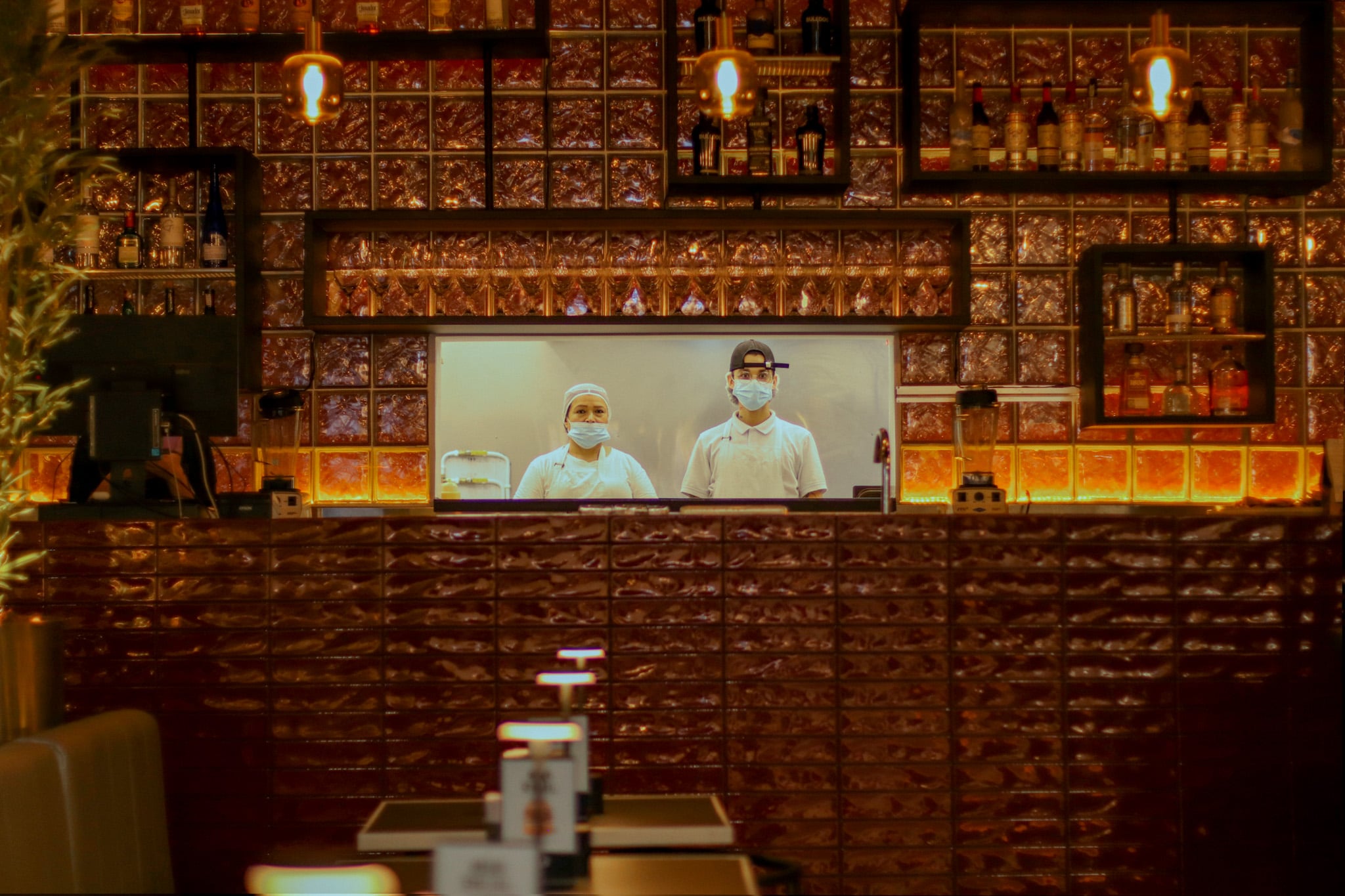 Animal Cocina Florida - Imagen principal del proyecto