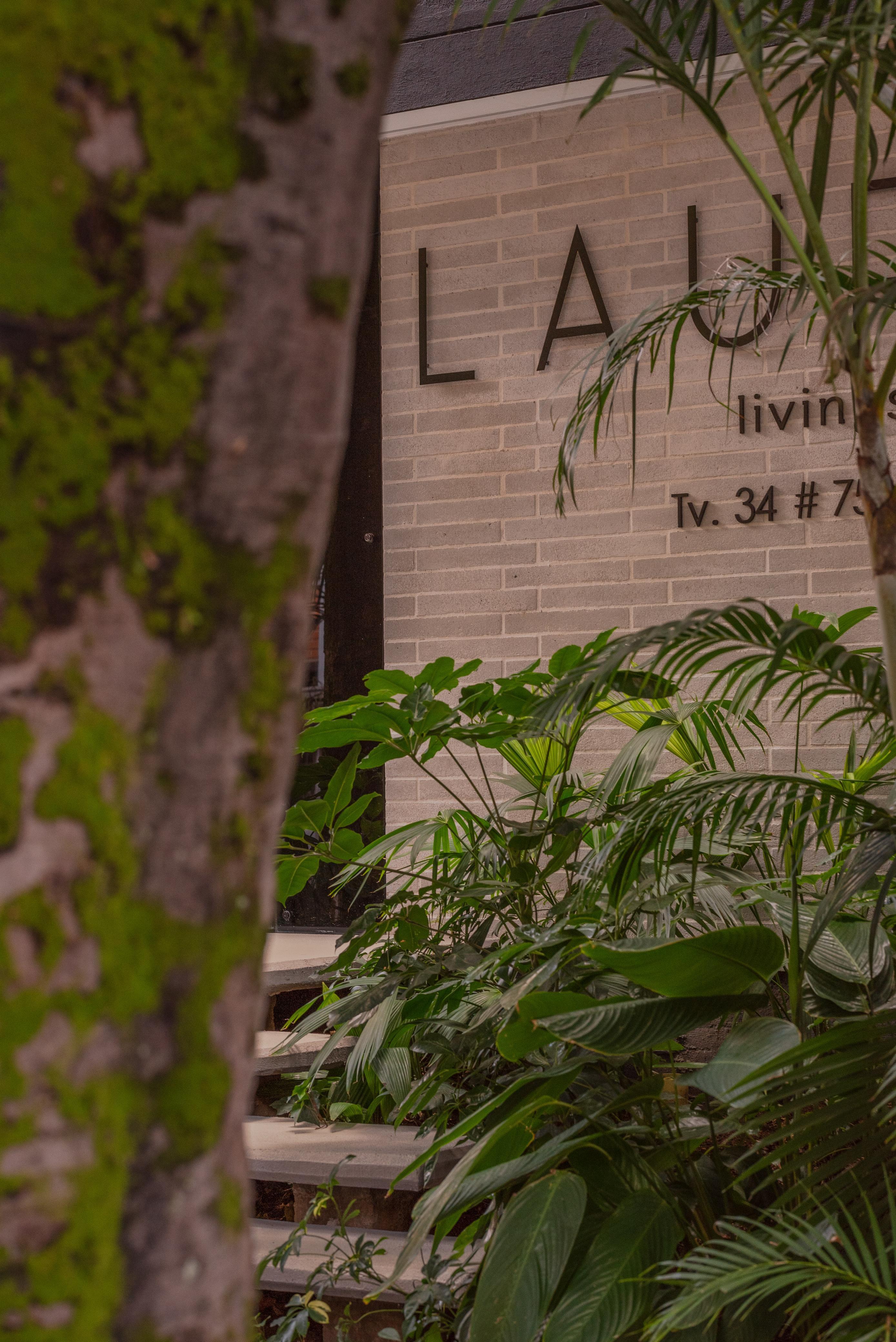 Edificio Laurel - 11