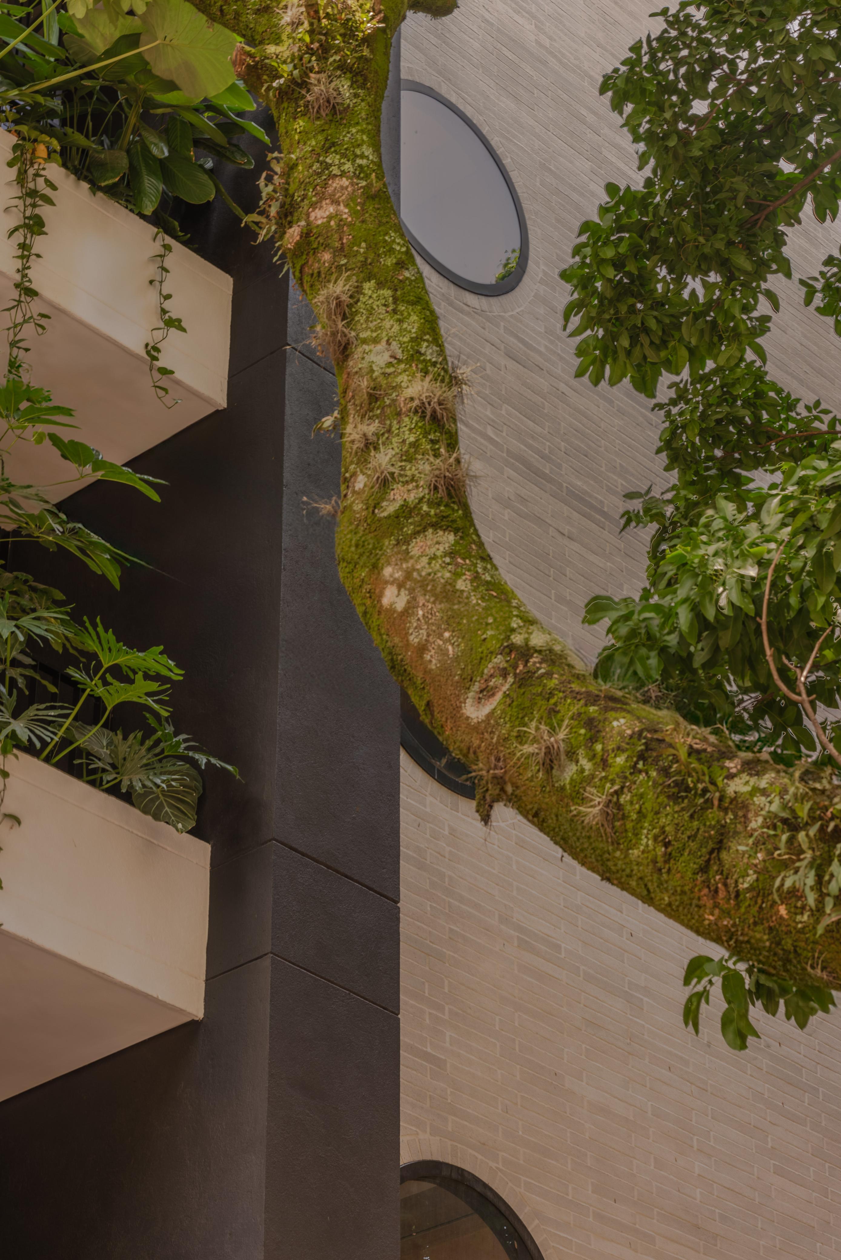 Edificio Laurel - 12