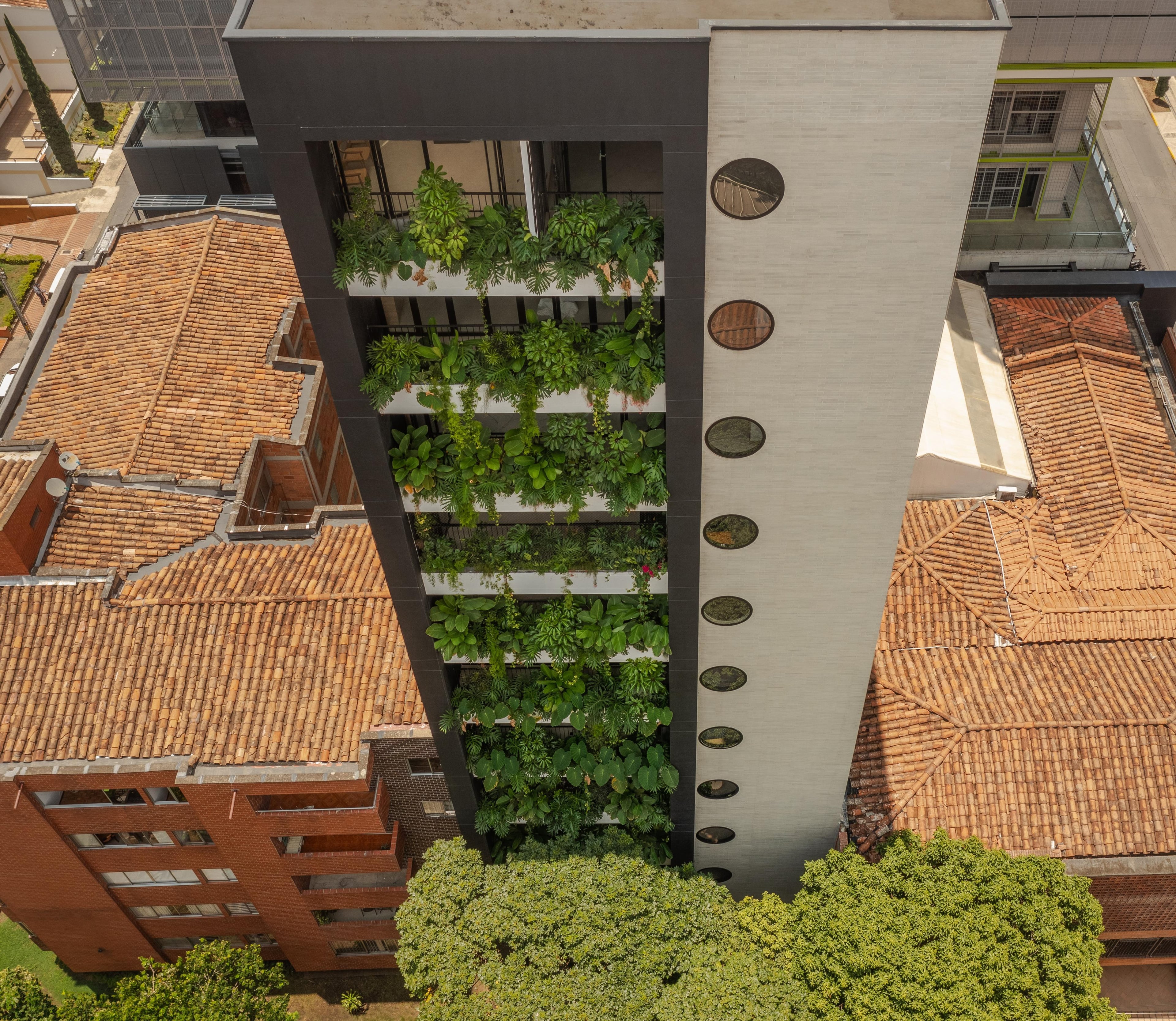 Edificio Laurel - 8